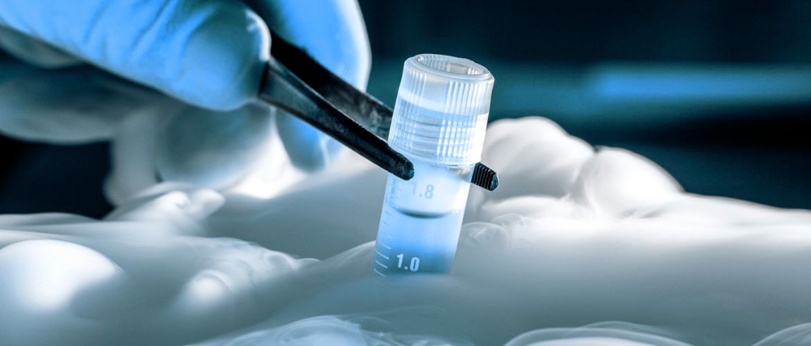 Криоконсервация ооцитов — современная страховка фертильности. Как это работает?