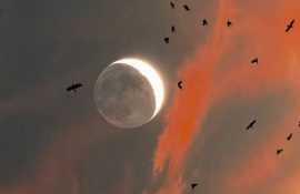 Новолуние 2026 март: энергия нового цикла