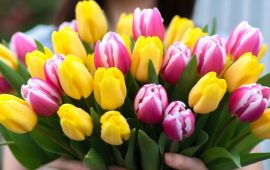 Теплые поздравления с 8 Марта в прозе: маме, жене, подруге