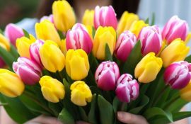 Теплые поздравления с 8 Марта в прозе: маме, жене, подруге