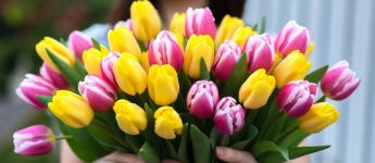 Теплі привітання з 8 Березня у прозі: мамі, дружині, подрузі