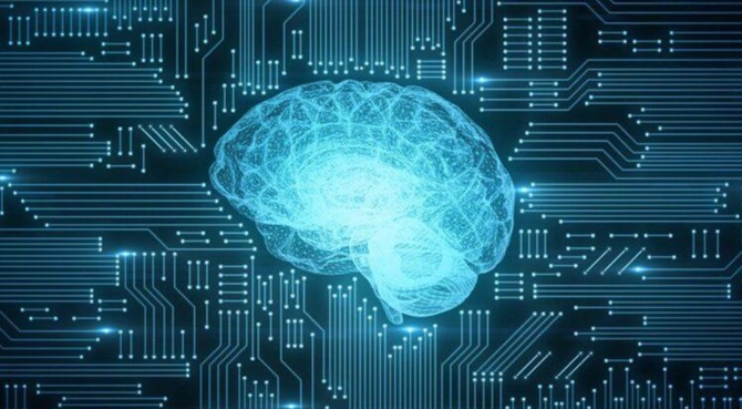 Wissenschaftler züchteten Gehirne im Labor und brachten ihnen bei, technische Probleme zu lösen 1