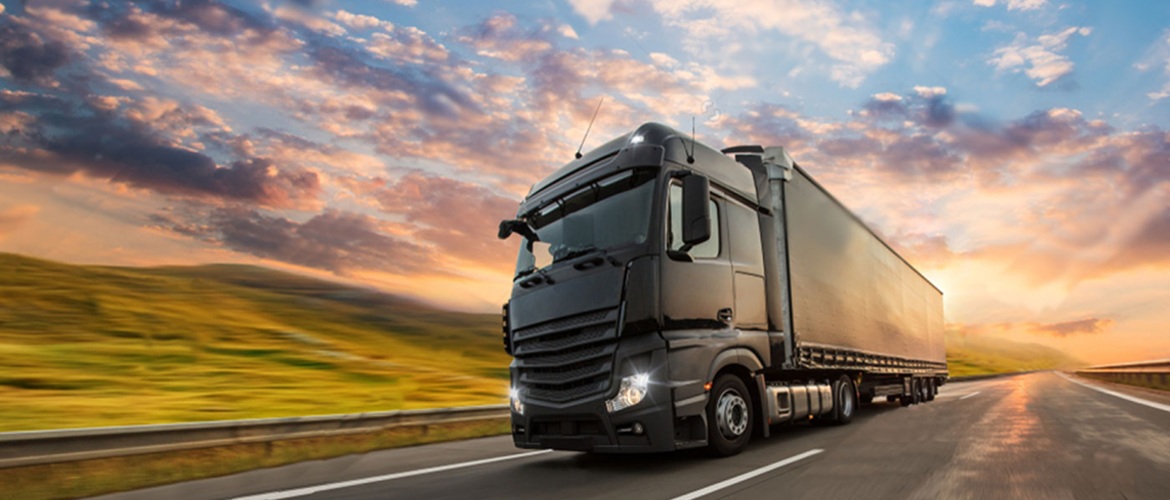 Meest Cargo: широкий спектр логістичних послуг та міжнародні перевезення для кожного