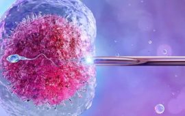 Как записаться на бесплатное ЭКО в Украине: пошаговый алгоритм для пациентов