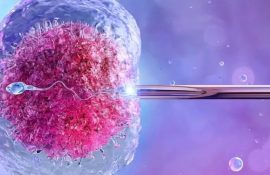 Как записаться на бесплатное ЭКО в Украине: пошаговый алгоритм для пациентов