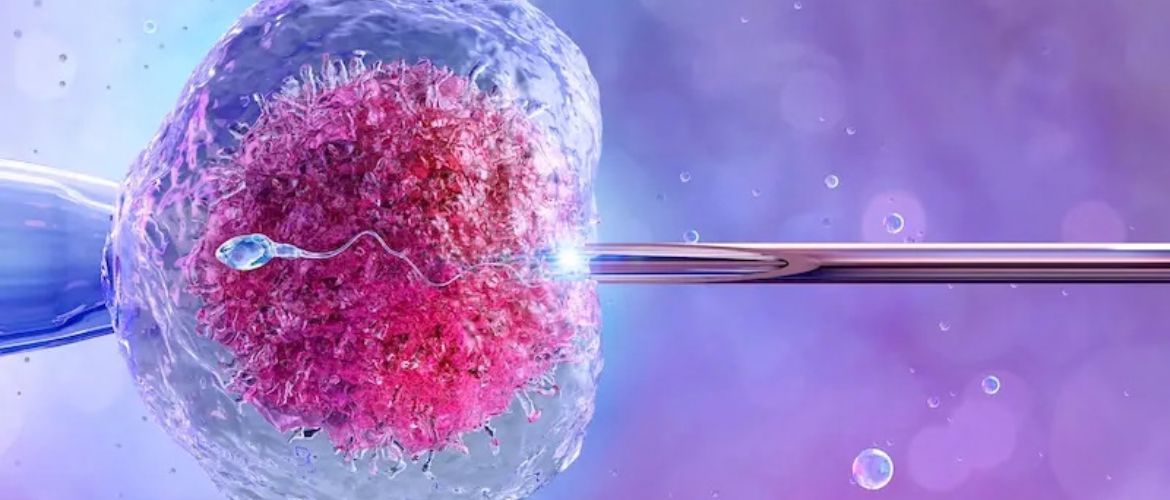 Как записаться на бесплатное ЭКО в Украине: пошаговый алгоритм для пациентов