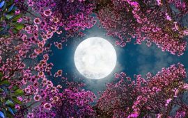 Полнолуние в апреле 2026: точная дата и время наступления Розовой Луны