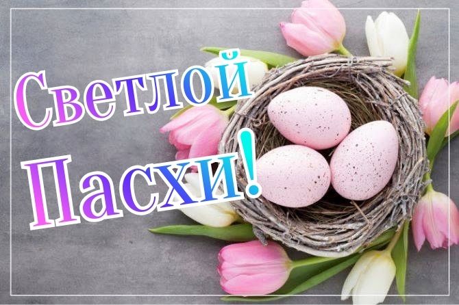 Красивые поздравления с Пасхой 2026: в стихах, прозе, открытки 2