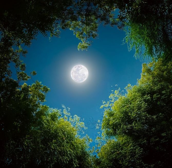 Полнолуние в апреле 2026: точная дата и время наступления Розовой Луны 1