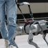 Scientists have created a guide dog robot that communicates with people
