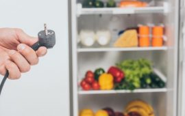 Сколько электроэнергии расходует холодильник в час